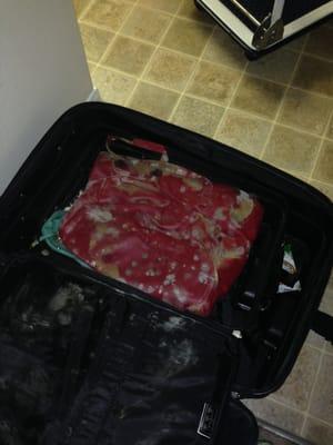 Moldy suitcase and purses.