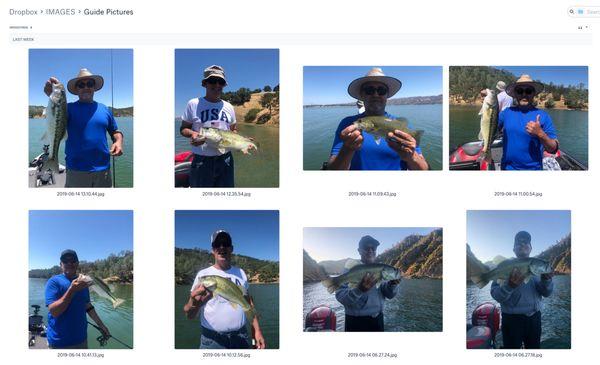 Bass Fishing in June 2019