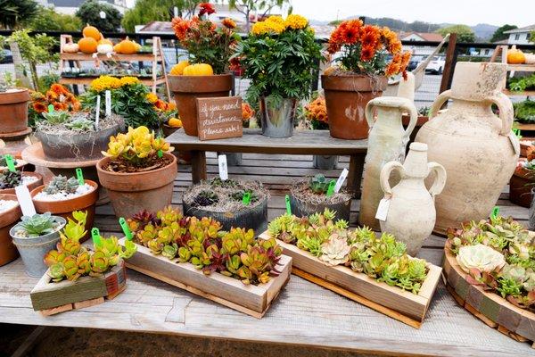 table display