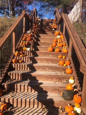 Stairs to extra seating, decorated for the fall