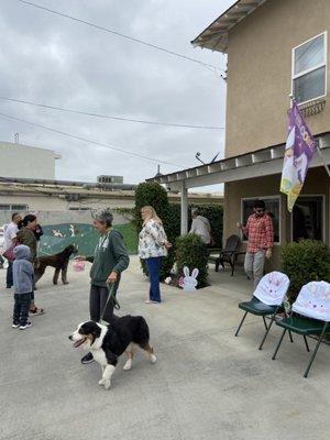 Easter bunny April 10 (10-12) Easter celebration for the doggies! Human treats / Easter egg hunt / goodie baskets + Easter bunny