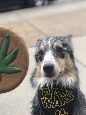 Clean dog and fresh dog treat. We love the self washing station!