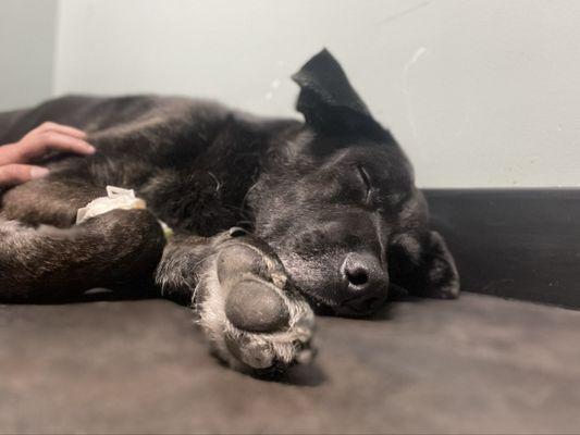 Bruce napping during my visit with him in one of the patient rooms.