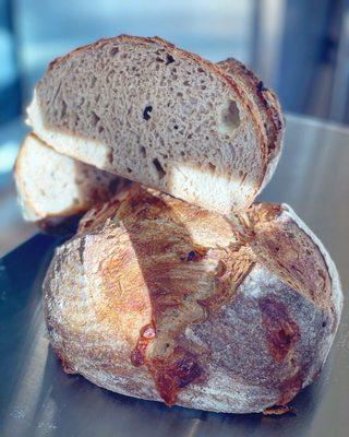 Oatmeal Stout and Irish Cheddar Sourdough