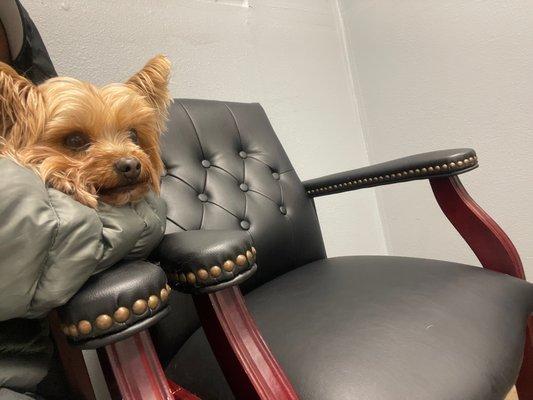 Keeping her cool at the vet