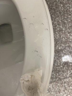 The filth on the toilet seat after I wiped with a wet tissue...