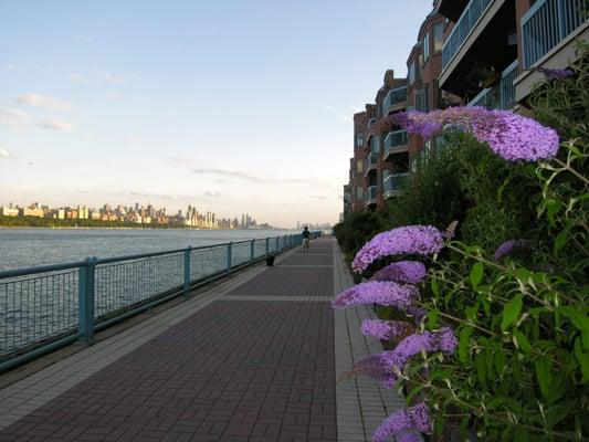 my walking trail in Edgewater NJ