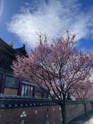 Beautiful views of temple