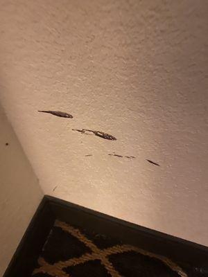 Stains on wall