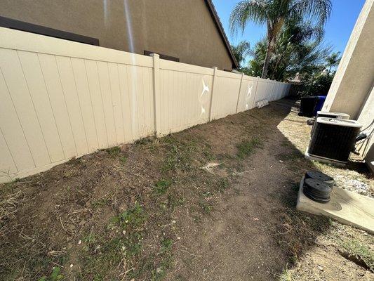 Clean backyard!