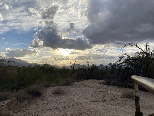 Along the path south of orange grove