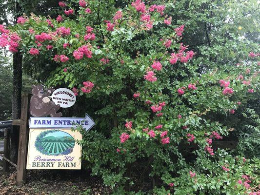 Farm entrance