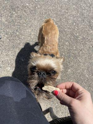 Gus and a treat!