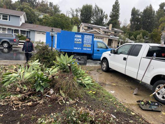 Tree's,weeds,yard debris and beds and couches