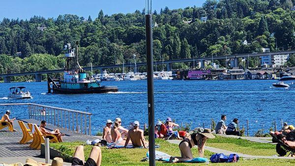 Beautiful, pleasant Sunday late afternoon. The park has become a popular spot. (7/2/23)