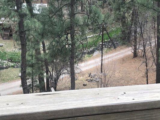 Cabin 11 - back balcony view of River