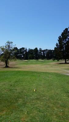 Pajaro golf course. Good round going