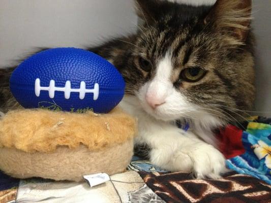 They even sent us a picture when he was boarded. His name is Richard Sherman, so they sent him home with a football. :-)