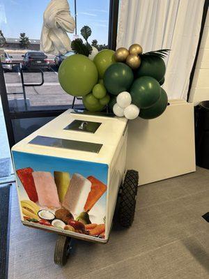 Paleta Cart