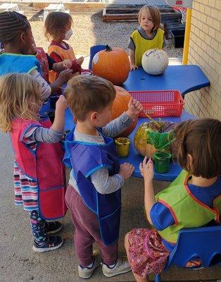 Pumpkin painting together