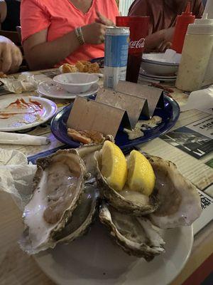 Raw oysters