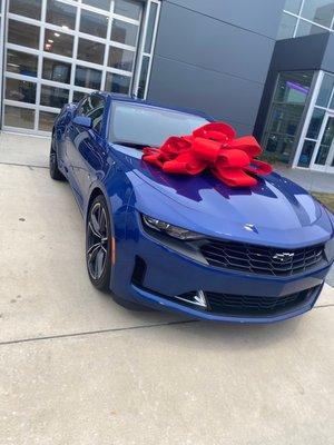 Car, Camaro, dealership