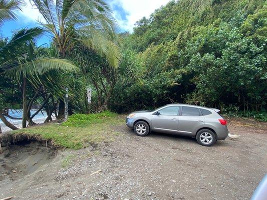 'Ro-gu' chillin somewhere along the Road to Hana