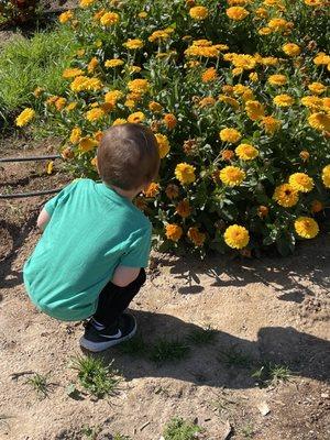 Smelling the flowers