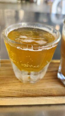 Fizzy Hoppy Tea - Part of the Business & Pleasure Flight $6.50)  07-08-2023