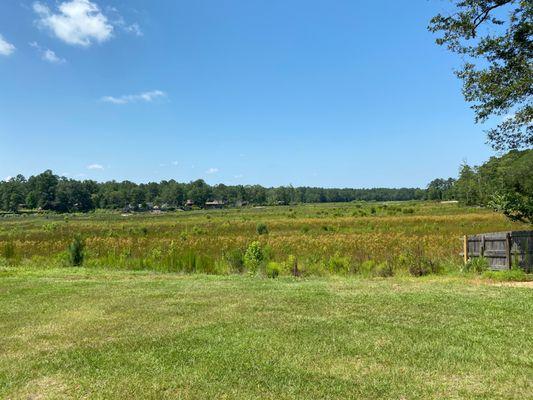 Waldo's Beach Campground