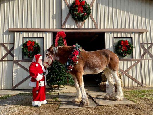 Christmas Decor Plus More Knoxville