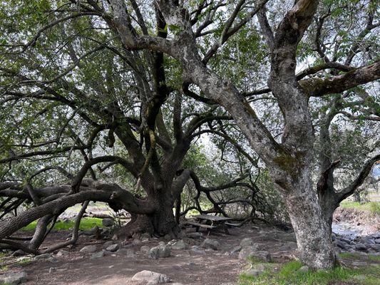 Crane Creek Regional Park