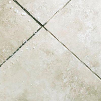 Best tile and grout cleaning in Orlando FL