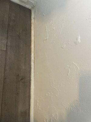 Water damage, mold