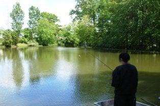 3.1 acre pond, catch and release fishing