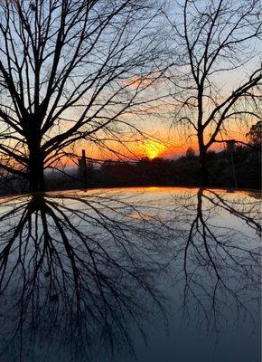 Sunset in Lincoln Crossing