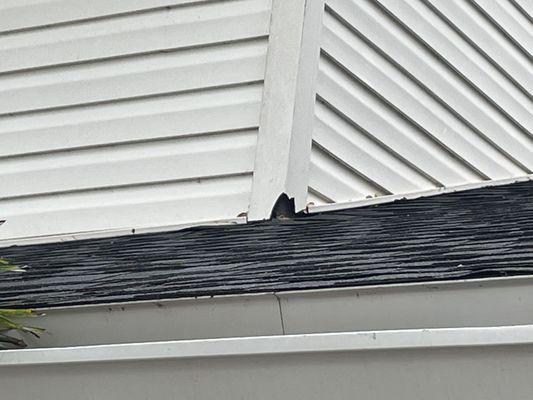 Damaged vinyl siding