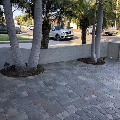 Driveway. Tight and careful curve placement around palm trees. Circle kit. New wall.