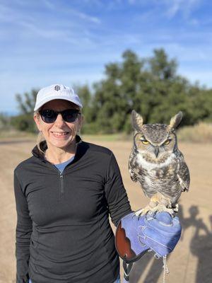 Sky Falconry