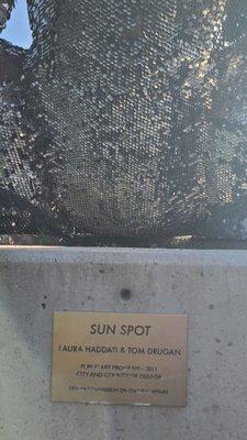 Plaque Sun Spot  06-26-2023