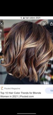 The example photo I wanted it's a side profile picture requesting brown, caramel ombré dimensional highlights