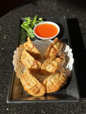 Deep Fried Dumplings