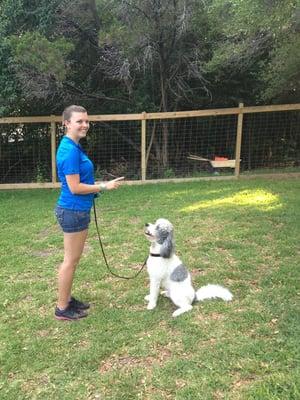 Amber working magic with Lucky!