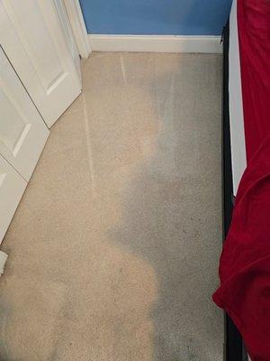 Perfection Carpet Cleaners