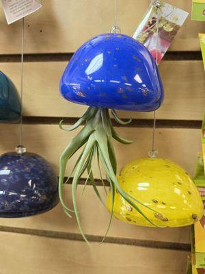 Air plant hangers