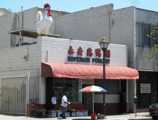 Superior Poultry (on N Broadway in the heart of Chinatown)