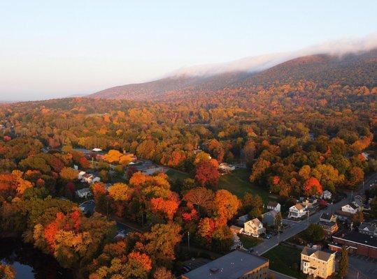 Foliage @ Sunset with the fog rolling in at the far end