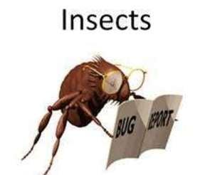 What's Bugging You Pest Control