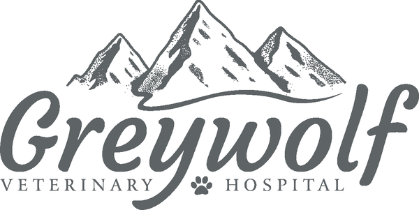 Greywolf Veterinary Hospital