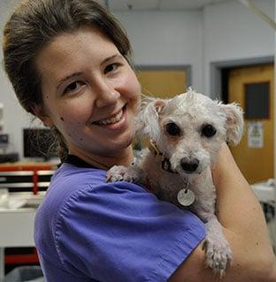 Fisherville Animal Hospital